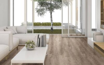 Holistic havens: creating your indoor/outdoor sanctuary